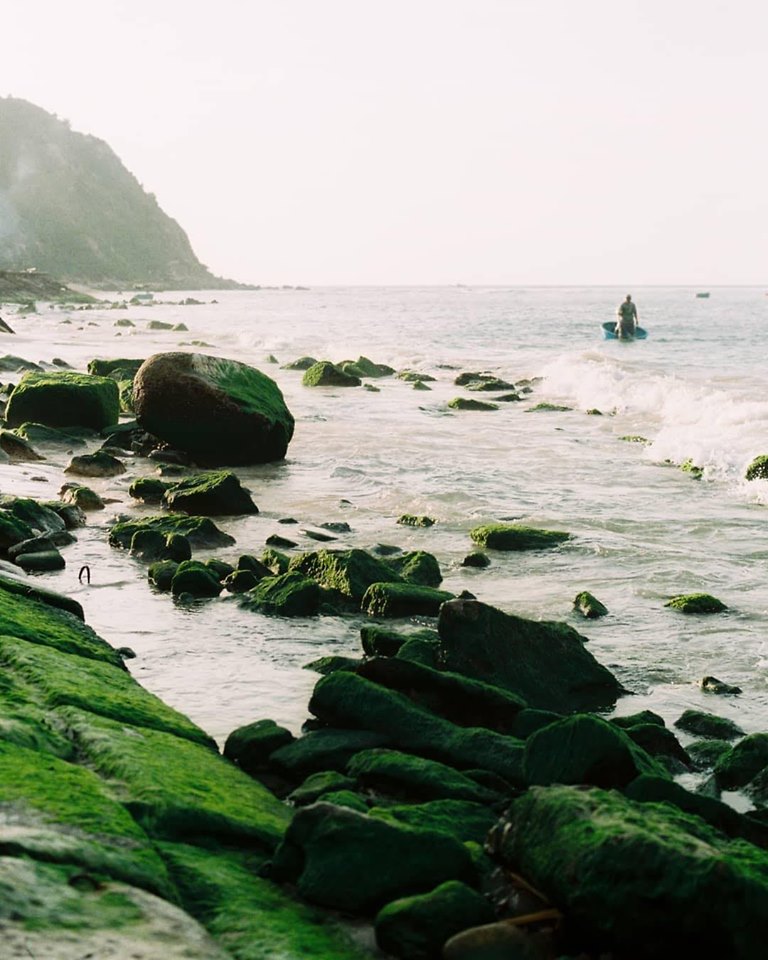 Vì sao giới trẻ đổ xô check in bãi đá rêu xanh tại đảo Cù Lao Xanh?