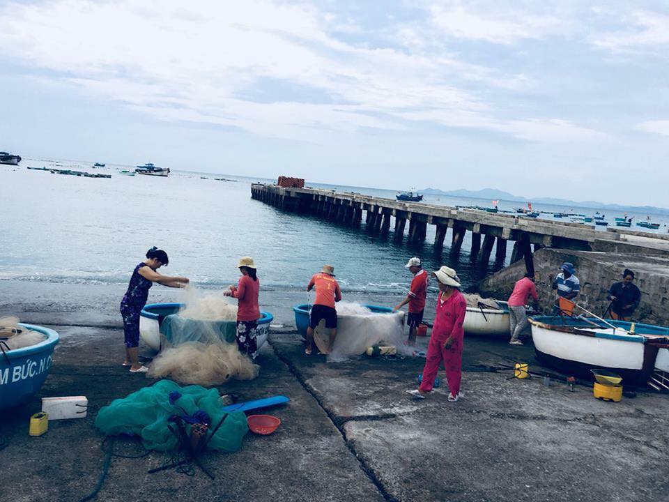 Du lịch cầu cảng Cù Lao  Xanh – Điểm check-in “hot” 2019